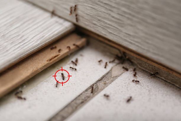Highland Park, MI Pest Control Company