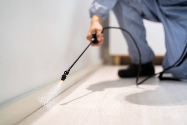Best Termite Control Services  in Highland Park, MI