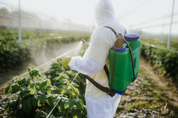 Pest Control for Restaurants in Highland Park, MI